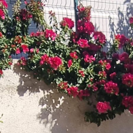 Vila Megi-Rent Room Vlorë Eksteriør billede