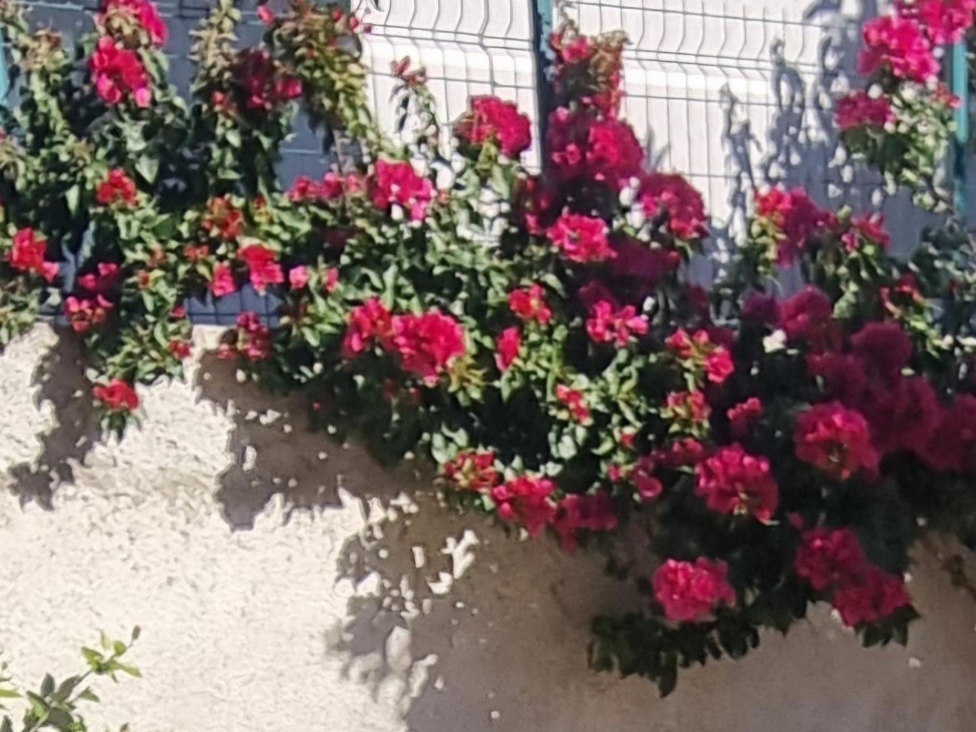 Vila Megi-Rent Room Vlorë Eksteriør billede